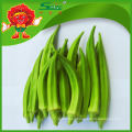 Yunnan Native Vegetables Proveedor chino de okra congelado